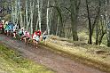 DSC00527
